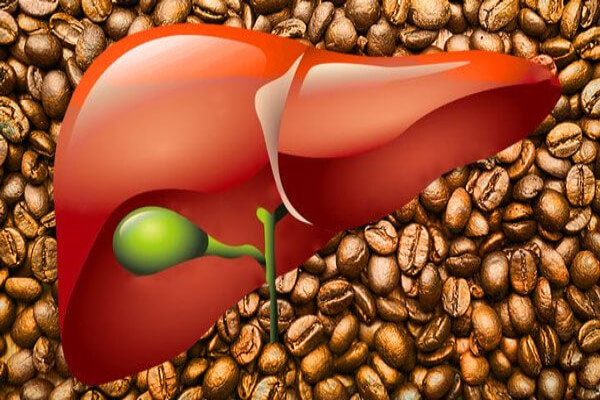 Uống cà phê giúp ngăn ngừa ung thư gan