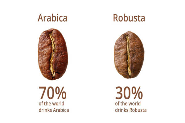 kết hợp Arabica và robusta