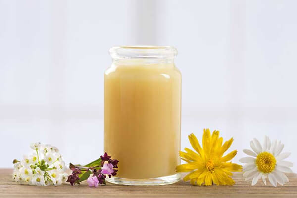 sữa ong chúa có công dụng trong điều trị ung thư
