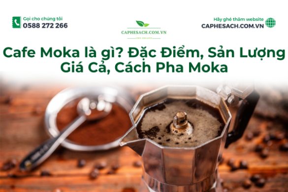 "cafe moka là gì moka là gì hạt moka cà phê moka là gì"