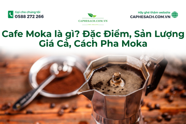 Cafe Moka là gì? Đặc Điểm, Sản Lượng, Giá Cả, Cách Pha Moka